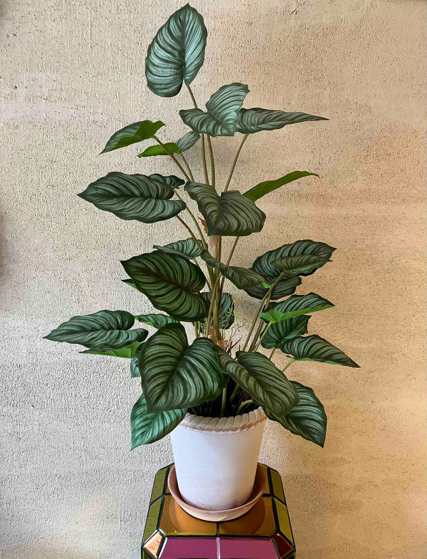 Apple leaf 90cm