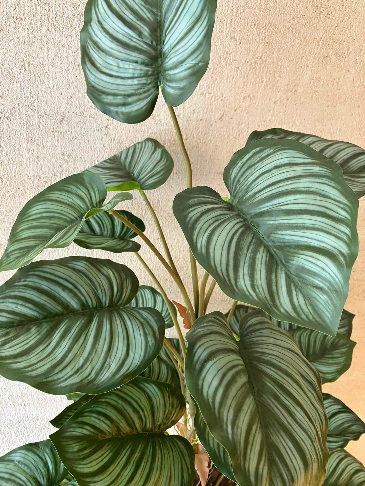 Apple leaf 90cm