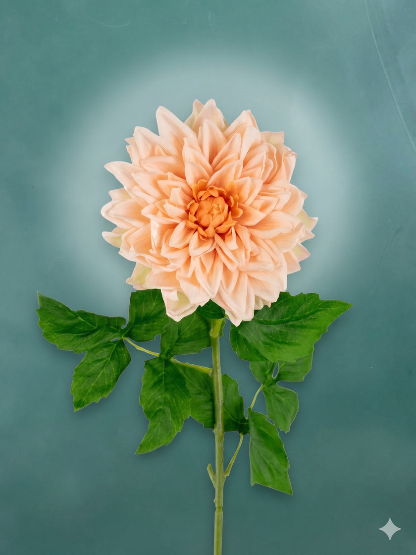 Dahlia L