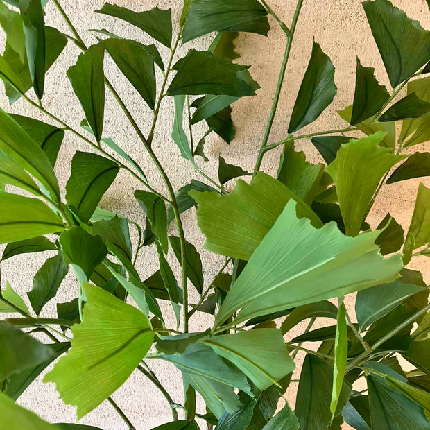 Fishtail palm 120cm