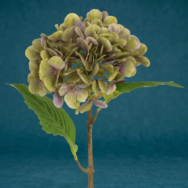 Hortensia - groen/paars