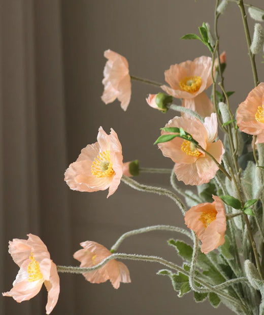 Pretty Poppies