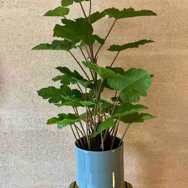 Melon leaf 90cm