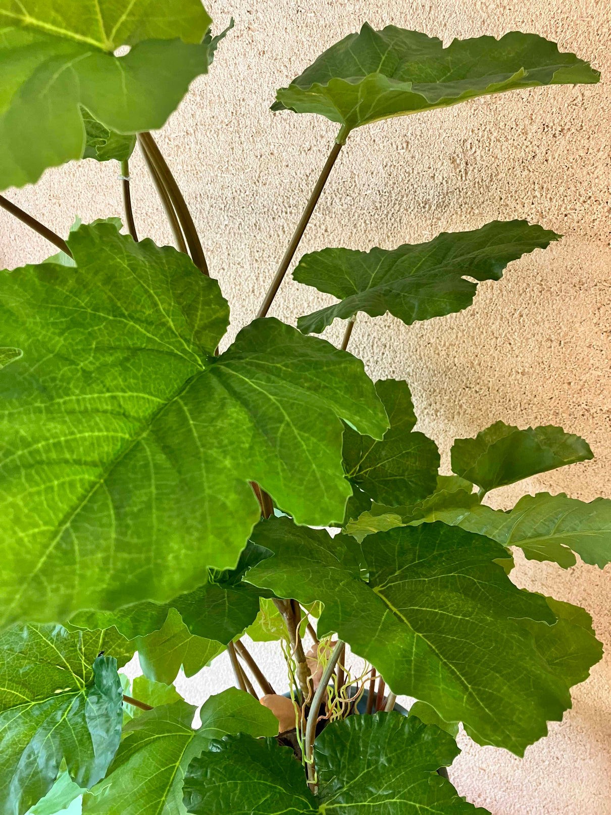 Melon leaf 90cm