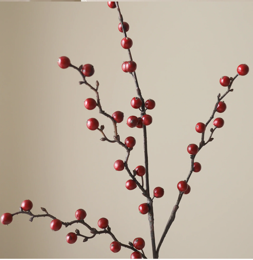 Winterbes Rood - tak