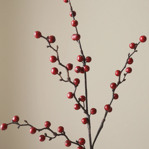 Winterbes Rood - tak