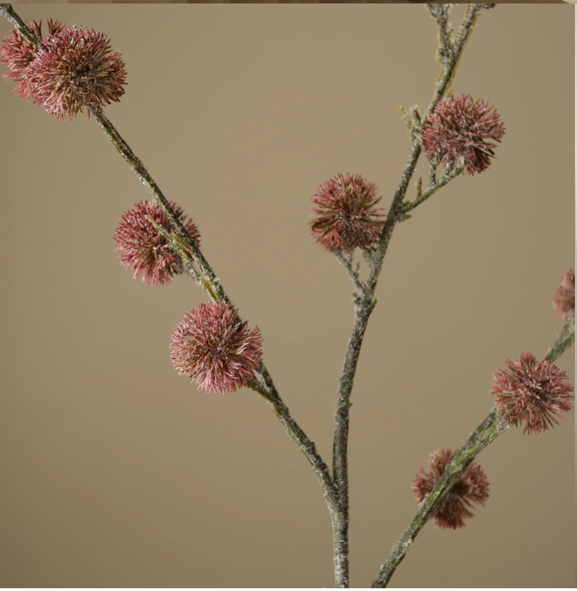 Distel paars - tak