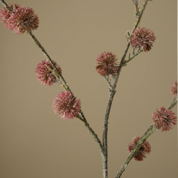 Distel paars - tak