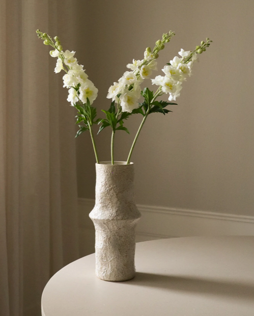 Delphinium wit