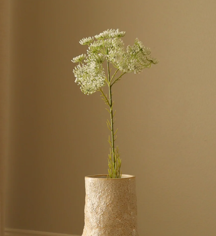 Queen Anne's lace wit