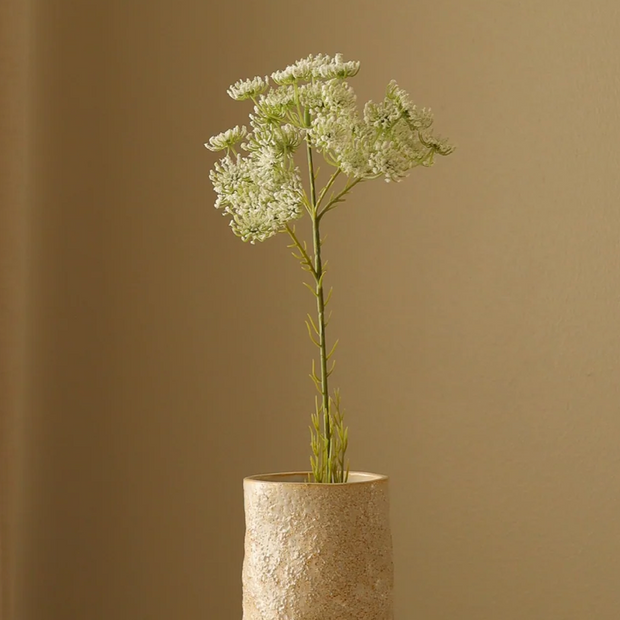 Queen Anne's lace wit