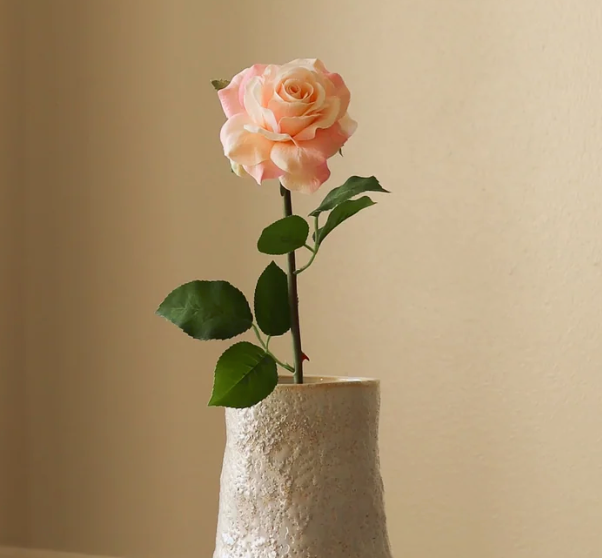 Roos licht roze