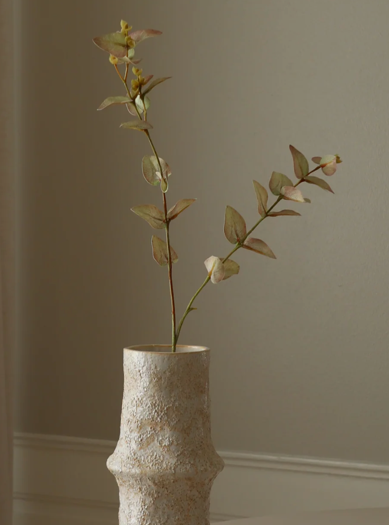 Eucalyptus wit - tak