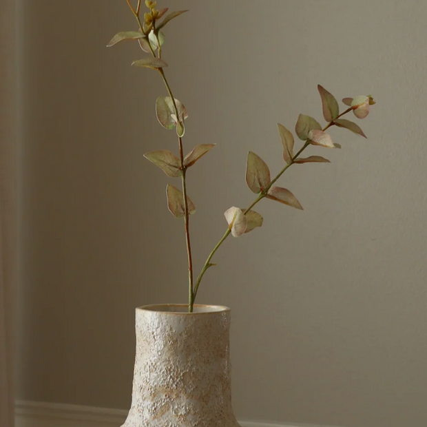 Eucalyptus wit - tak