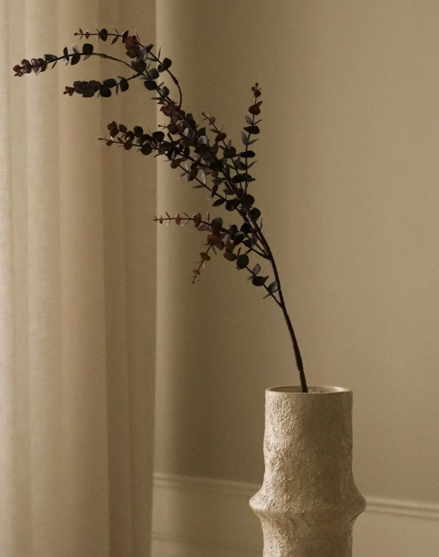 Eucalytus 'Gunni' - tak