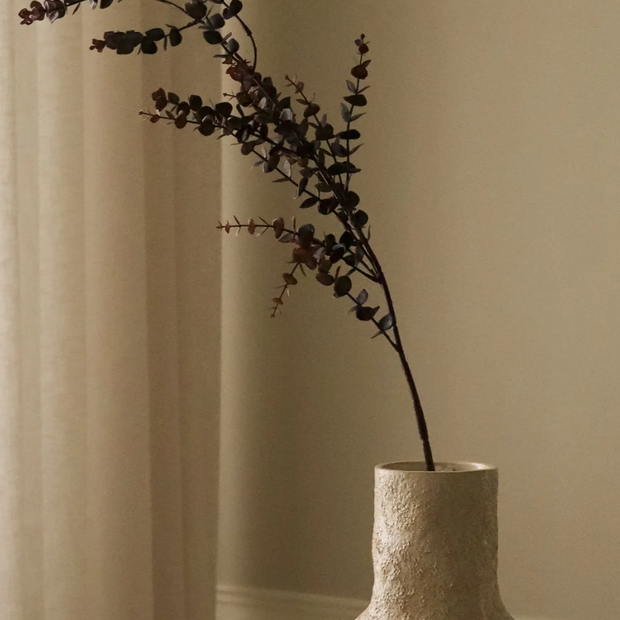 Eucalytus 'Gunni' - tak