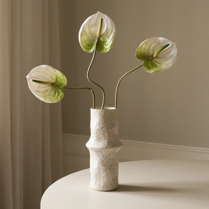 Anthurium wit/groen