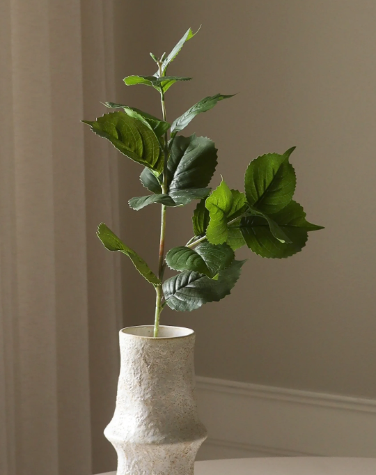 Hortensia blad - tak