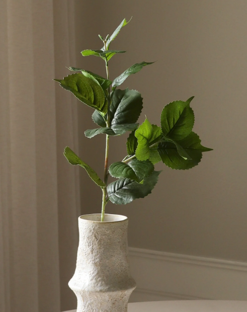 Hortensia blad - tak