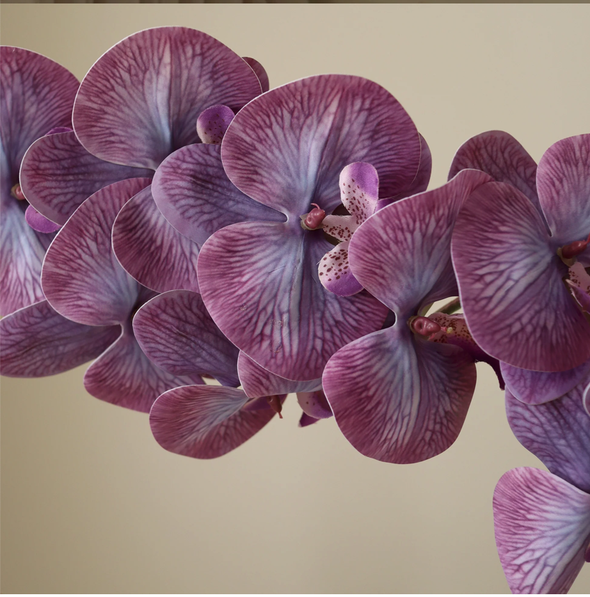 Orchidee paars - tak