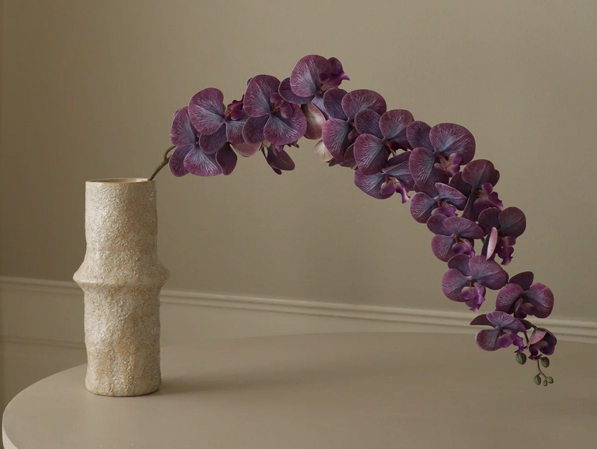 Orchidee paars - tak