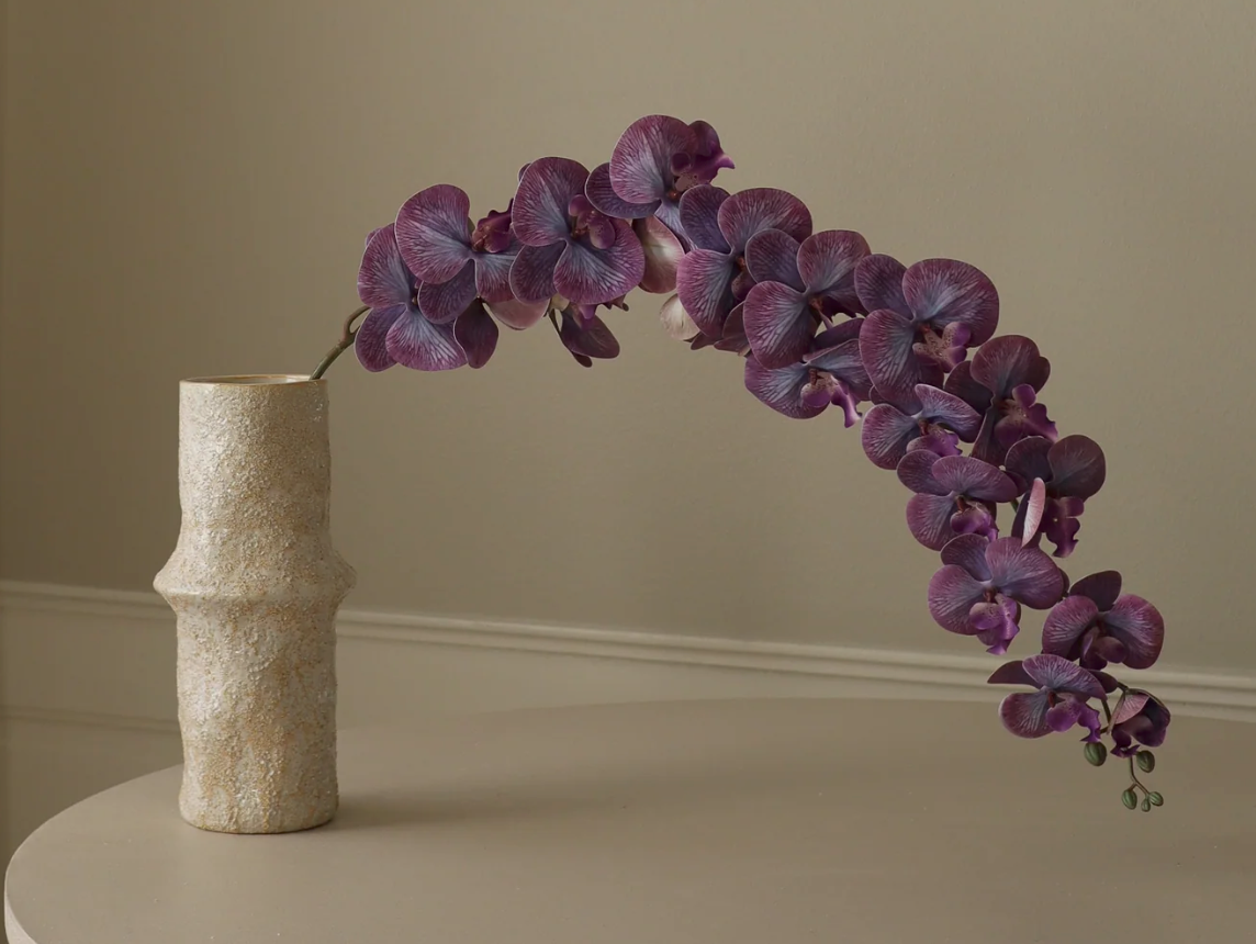 Orchidee paars - tak