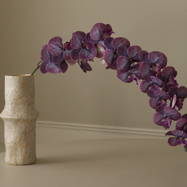 Orchidee paars - tak