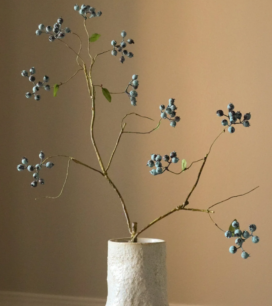 Bessen blauw - tak