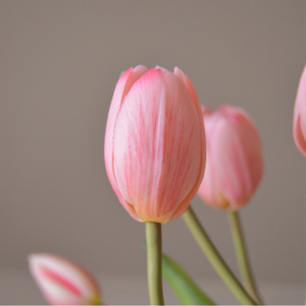 Tulpen bosje van 5
