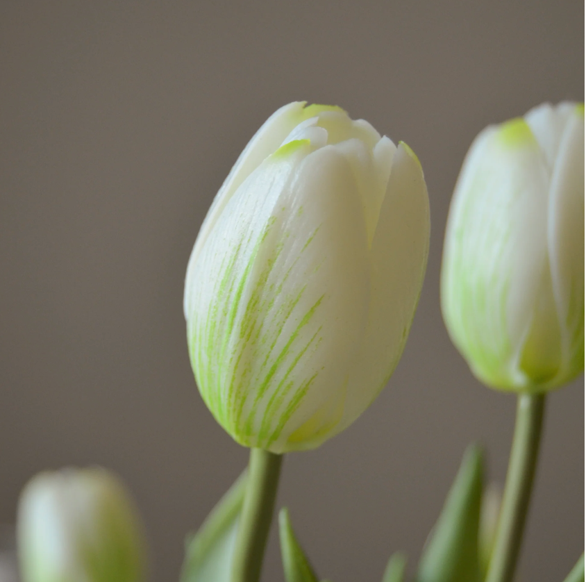 Tulpen bosje van 5