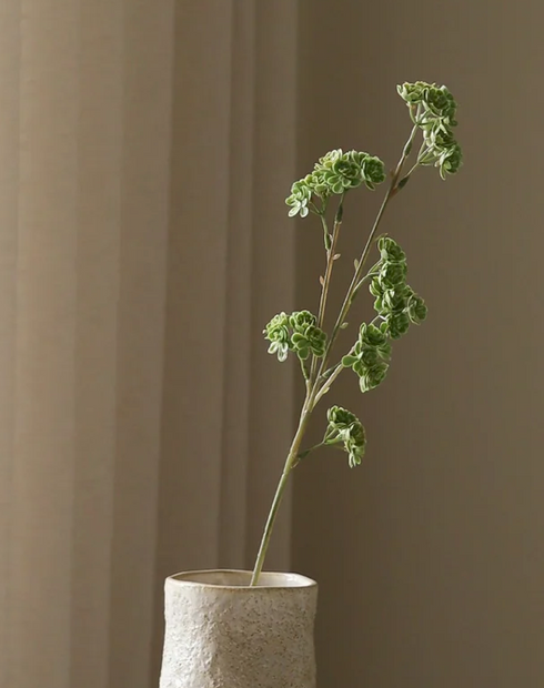 Succulent tak - groen