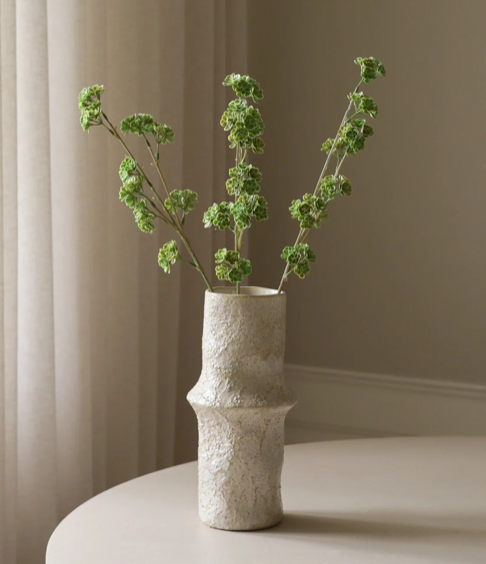 Succulent tak - groen