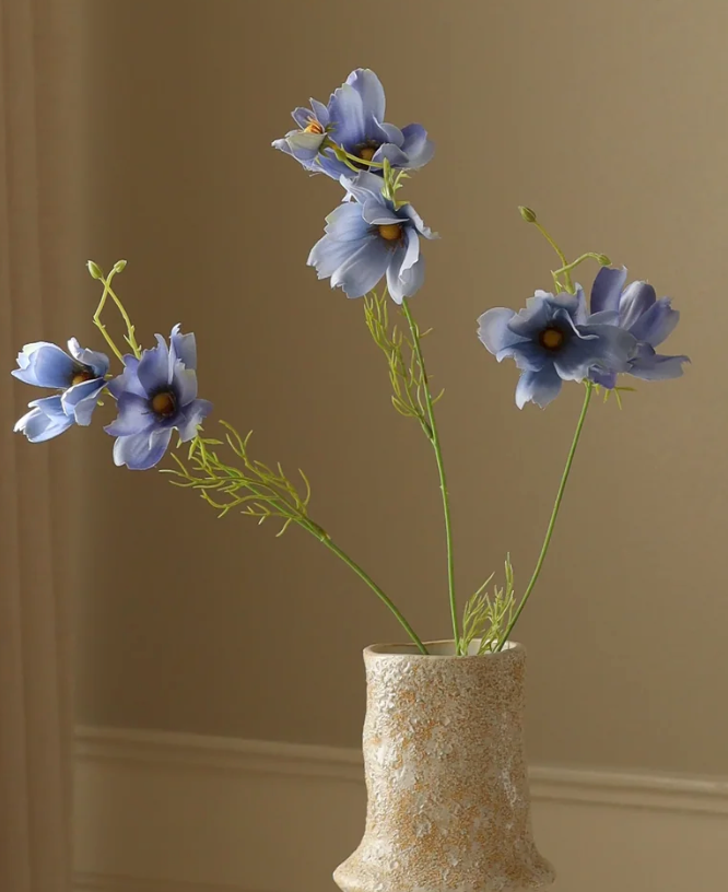 Cosmea - blauw