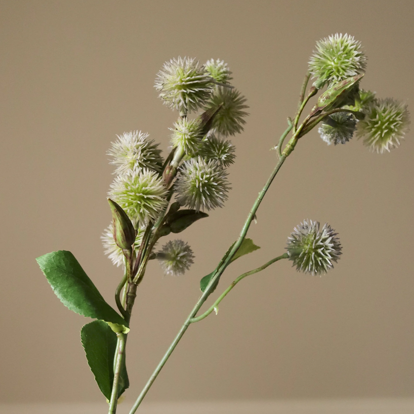 Distel tak - groen