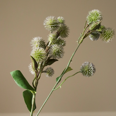 Distel tak - groen