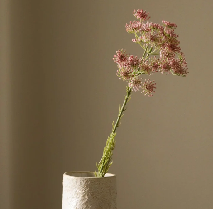 Queen Anne's Lace - roze
