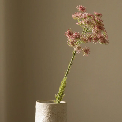 Queen Anne's Lace - roze