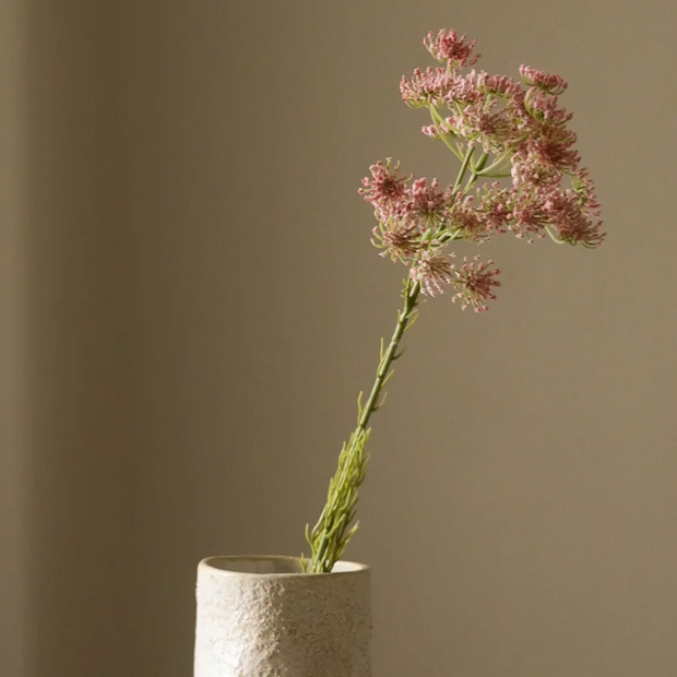 Queen Anne's Lace - roze