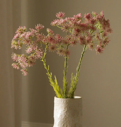 Queen Anne's Lace - roze