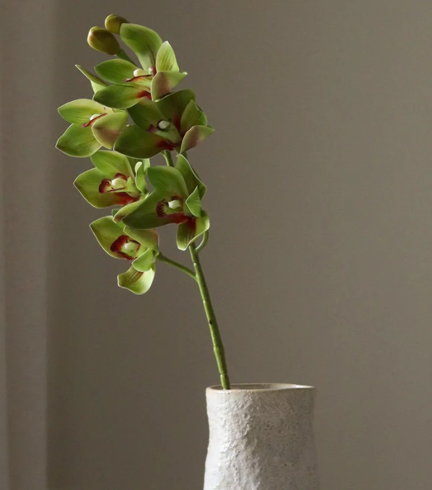 Orchidee - licht groen