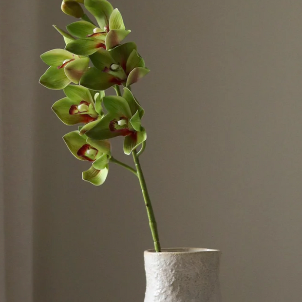 Orchidee - licht groen
