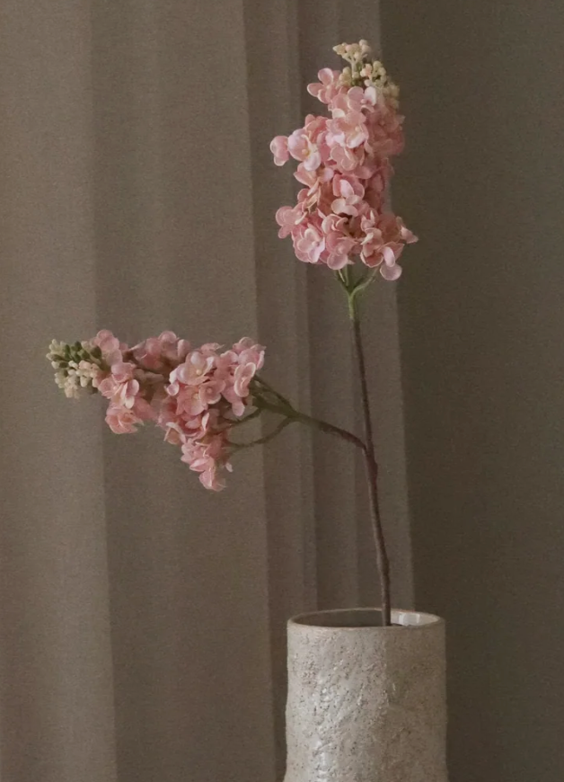 Sering - roze