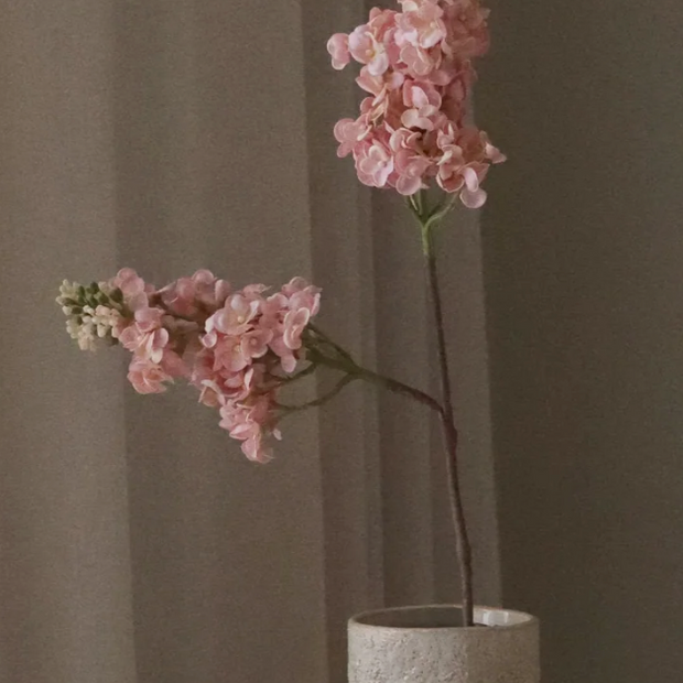 Sering - roze