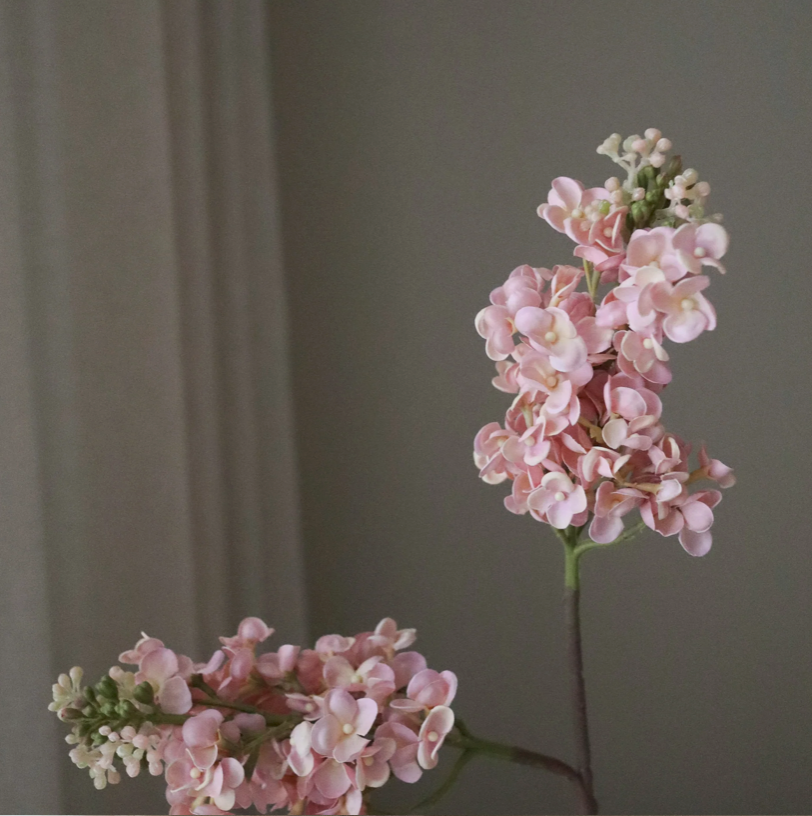 Sering - roze