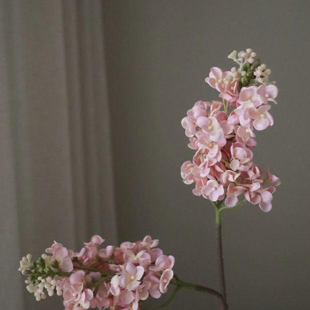 Sering - roze