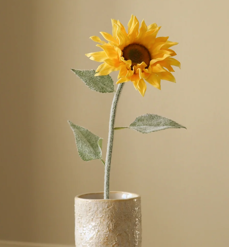 Zonnebloem