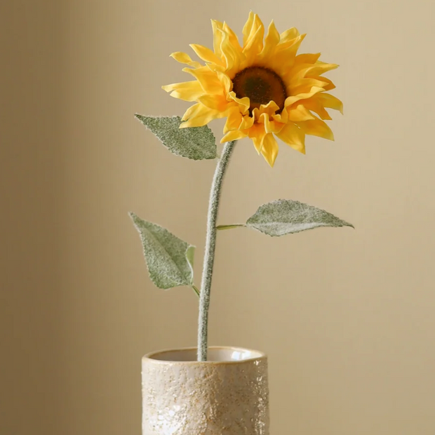 Zonnebloem