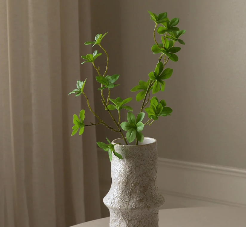 Ekianthus tak