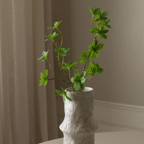 Ekianthus tak