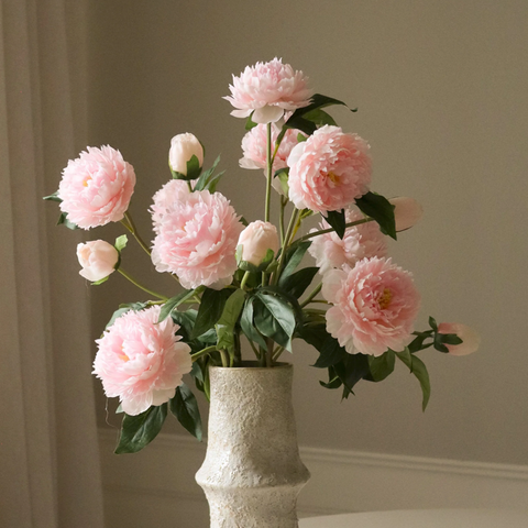 Pioen - roze